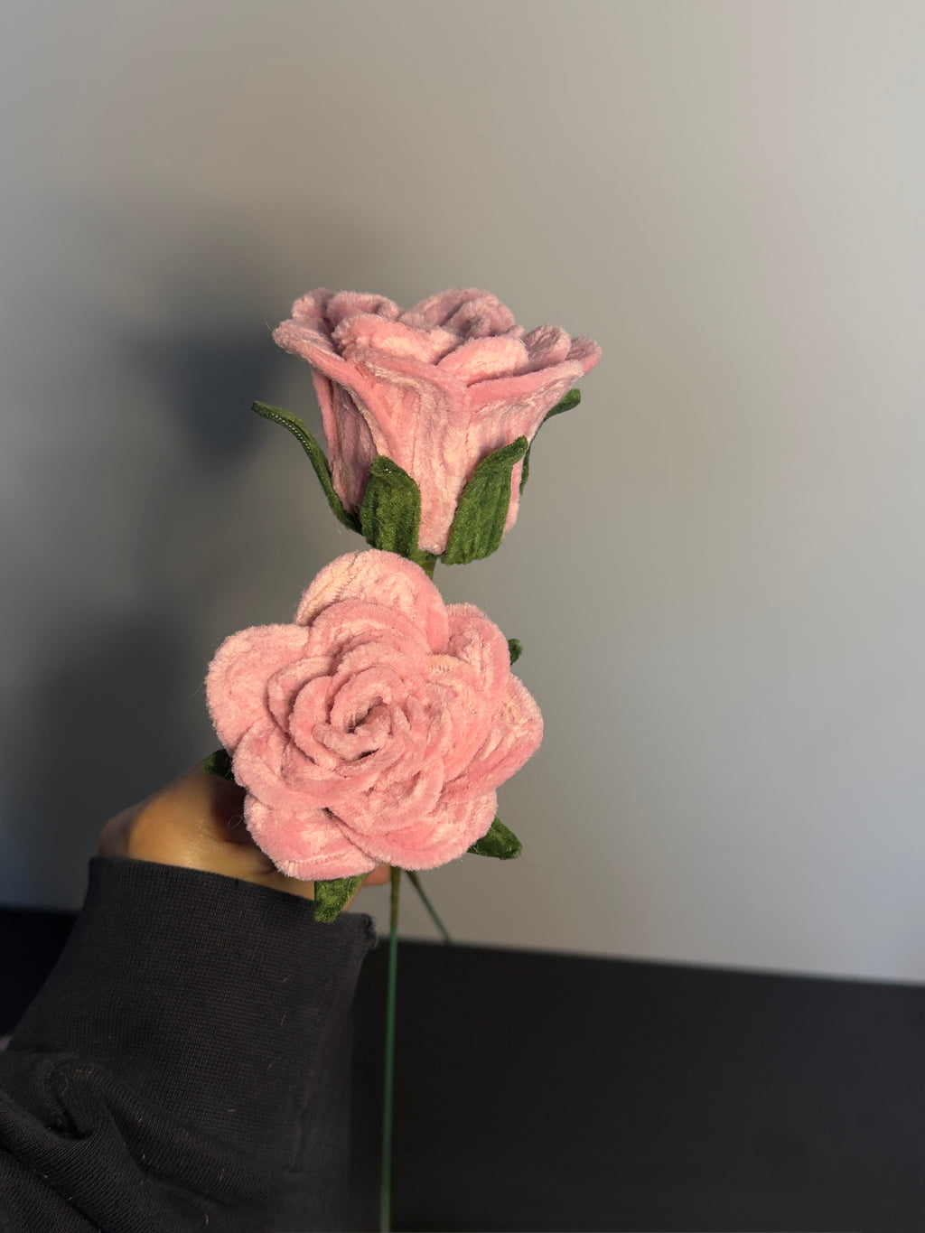 roses