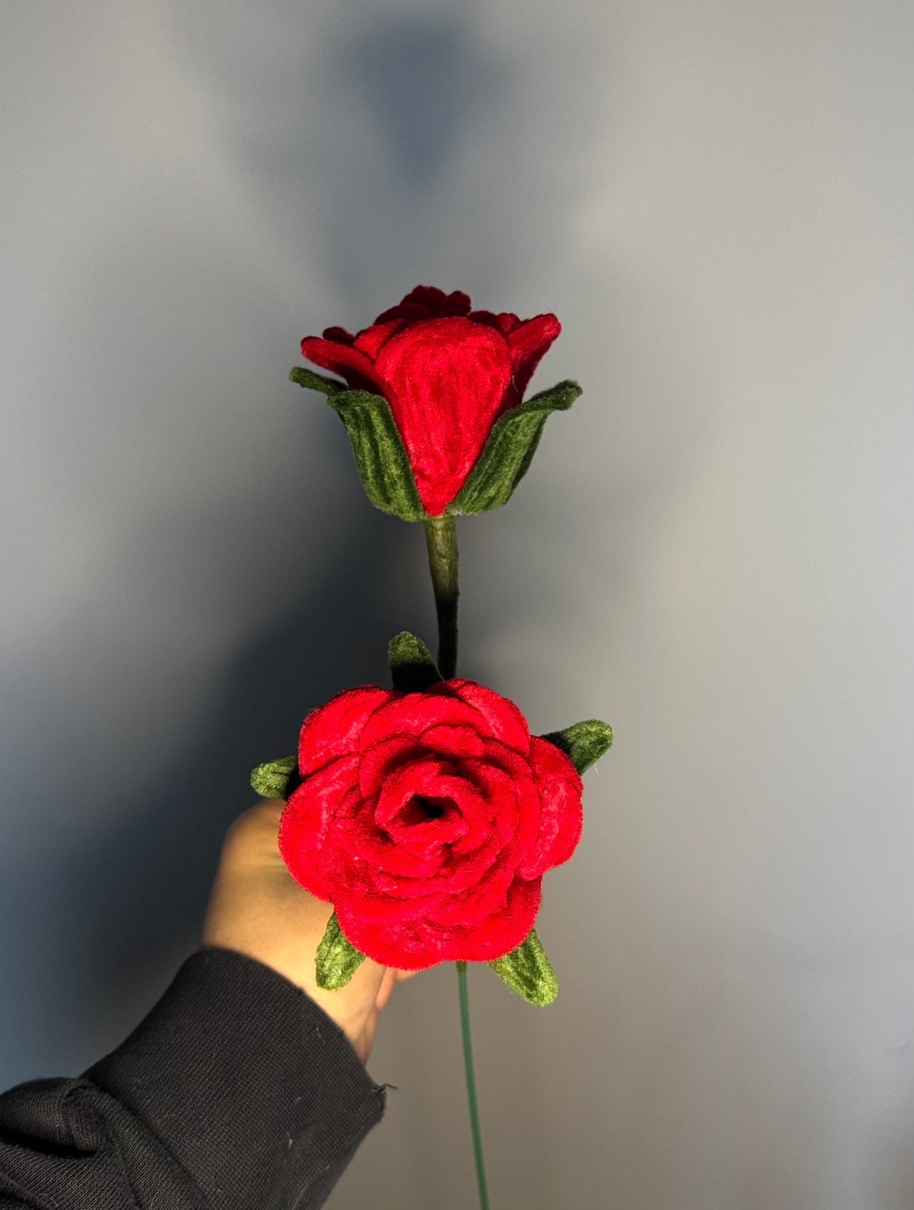 roses