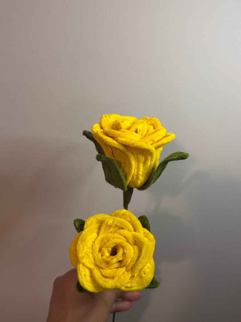 roses